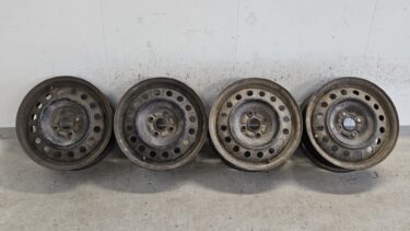 D10102504